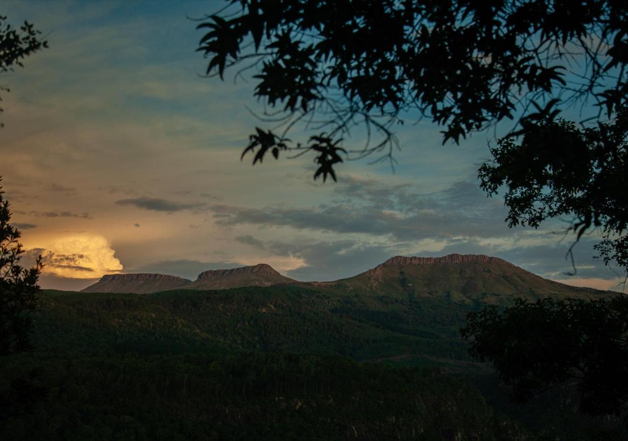 Away With The Fairies Nature Lodge And Backpackers Hogsback Exterior photo